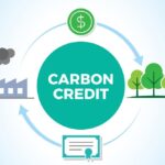 The Future of Carbon Credits: What to Expect in the Coming Years