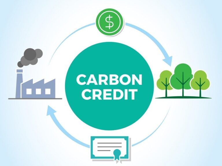 The Future of Carbon Credits: What to Expect in the Coming Years