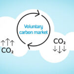 What will the voluntary carbon market be in 2030?